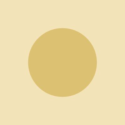 Mocassins